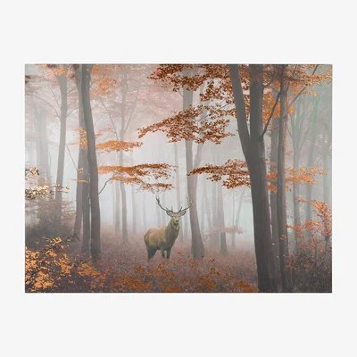 The Range Woodland Stag Copper Foil Canvas