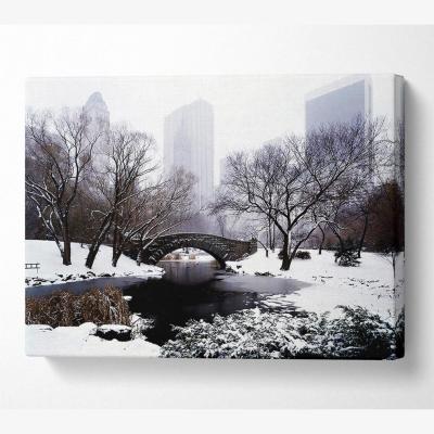 The Range Central Park In Winter Canvas Print Wall Art - Yellow / 50.8cm