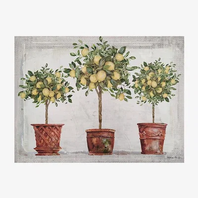 The Range Lemon Trio Canvas