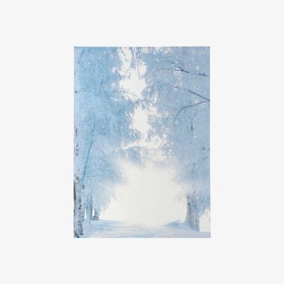 The Range Beautiful Snowy Trees Light Up Canvas - White