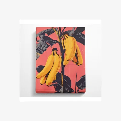 The Range Bolf Bananas Canvas Print - Black / 35.56cm