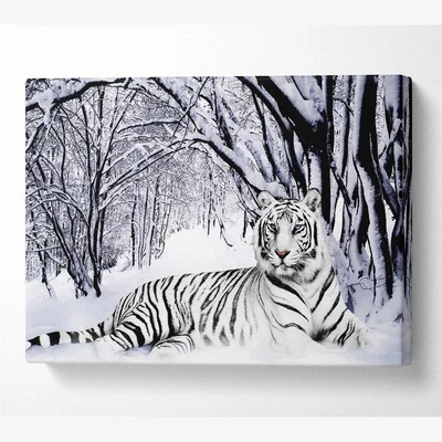 The Range White Tiger In The Snow - 101.6cm