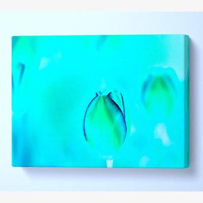 The Range Turquoise Tulip Canvas Print Wall Art - Yellow / 35.56cm