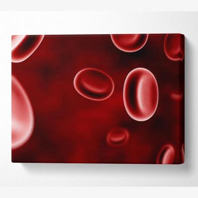 The Range Red Spheres In Motion Canvas Print Wall Art - Yellow / 81.28cm