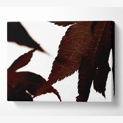 The Range Brown Autumn Leaf Canvas Print Wall Art - Yellow / 35.56cm