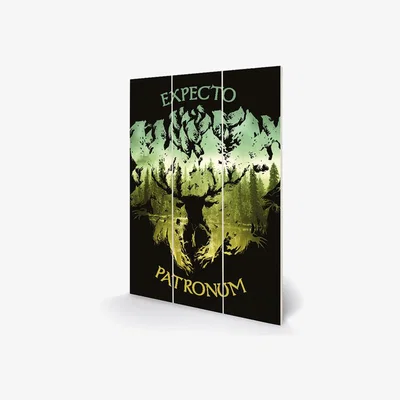 The Range Harry Potter (Expecto Patronum) Wall Art