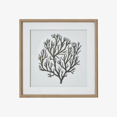 The Range Hill Interiors Atol Coral Framed Art Print - Brown/Grey/White