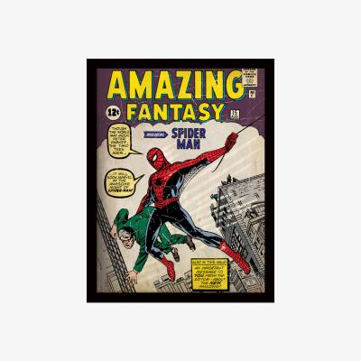 The Range Spider-Man (Issue 1) Framed Print