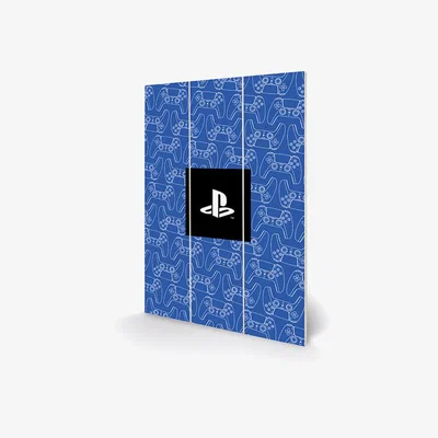 The Range PlayStation (Control Pattern) Wall Art - Colourful