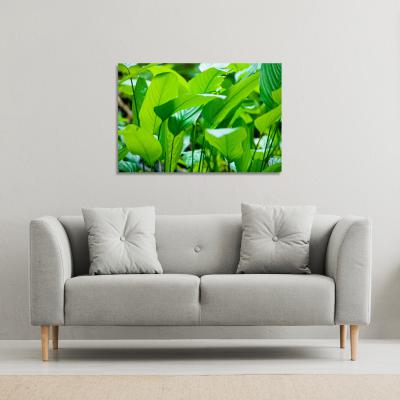 The Range Green leaf background abstract of nature Canvas Print - Green / 61cm / 41cm