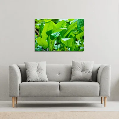 The Range Green leaf background abstract of nature Canvas Print - Green / 61cm / 41cm