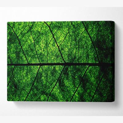 The Range Leaf Veins Canvas Print Wall Art - Yellow / 66.04cm