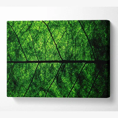 The Range Leaf Veins Canvas Print Wall Art - Yellow / 66.04cm