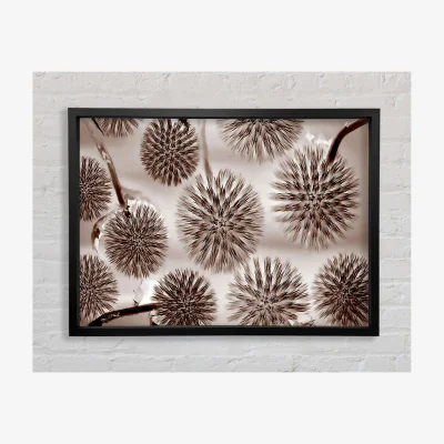 The Range Dandelion Dream Chocolate Framed Print Abstract Prints - Black