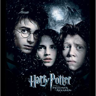 The Range Harry Potter (Prisoner Of Azkaban) Framed Print