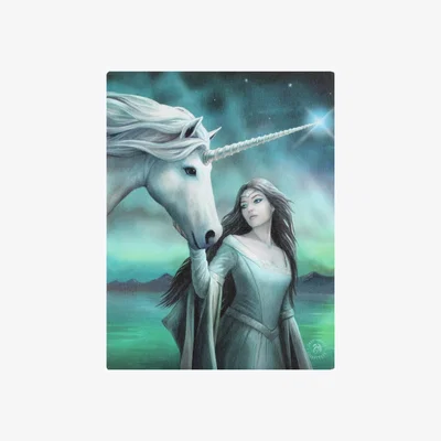 The Range North Star Canvas Plaque by Anne Stokes - Ethereal Fantasy Artwork (19x25cm) - Teal