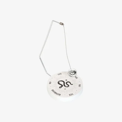 The Range Something Different Mystic Snake Pendulum Decision Maker - White/Black