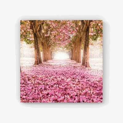 The Range Pink Flower Tree Tunnel HD Metal Print - Pink / 30cm
