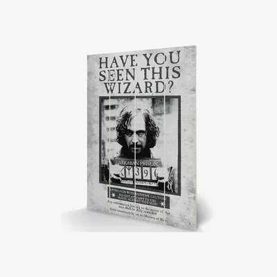 The Range Harry Potter (Sirius Wanted) Wall Art