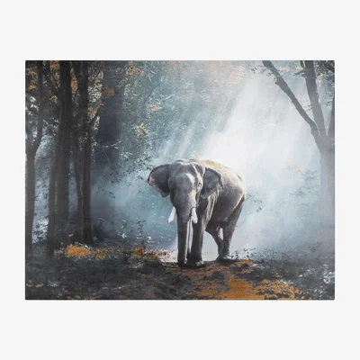 The Range Foiled Elephant Woodland Canvas