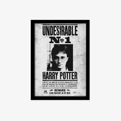 The Range Harry Potter (Undesirable No1) Framed Print