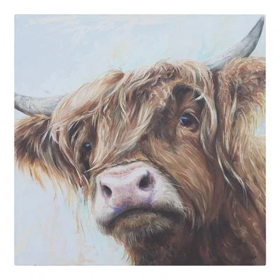 The Range Angus Cow Canvas