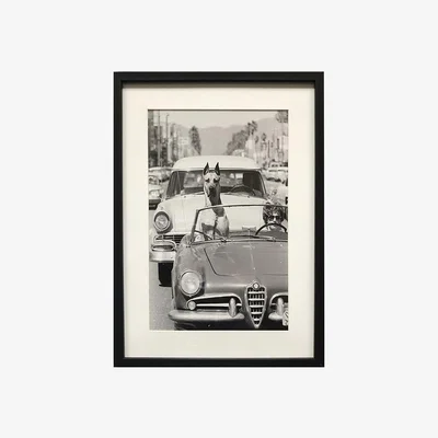 The Range Cruising Dog Monochrome Framed Print