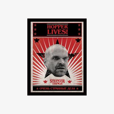 The Range Stranger Things (Hopper Lives) Framed Print