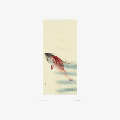The Range Ohara Kolson Two Carp or Two Veil Goldfish