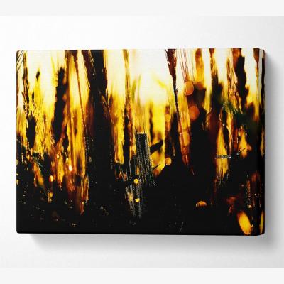 The Range Golden Wheatfield Canvas Print Wall Art - Yellow / 35.56cm
