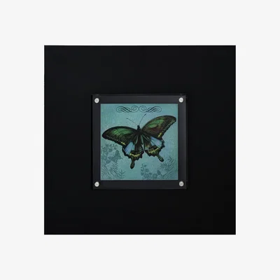 The Range Butterfly 1 Framed Wall Art - Multicolour