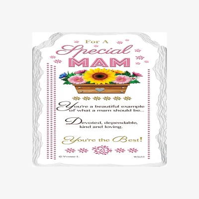 The Range For a Special And Best Mam Sentimental Handcrafted Ceramic Plaque - Multi