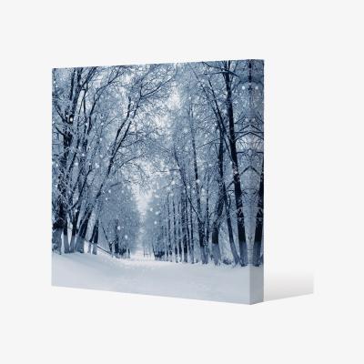 The Range Snowstorm In Park Gallery Canvas - Blue / 61cm