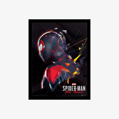 The Range Spider-Man Miles Morales (System Shock) Framed Print