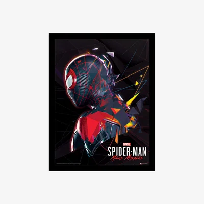 The Range Spider-Man Miles Morales (System Shock) Framed Print