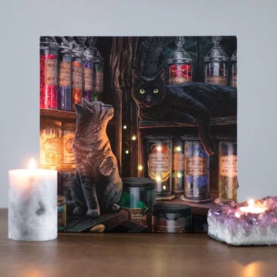 The Range Magical Emporium Light up Canvas - Multicolour