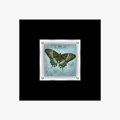 The Range Butterfly 2 Framed Wall Art - Multicolour