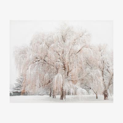 The Range Glitter Winter Trees Canvas