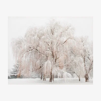 The Range Glitter Winter Trees Canvas