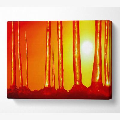 The Range Icecap Sun Canvas Print Wall Art - Yellow / 35.56cm