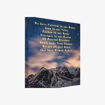 The Range We are 93 Percent Stardust Canvas - Blue