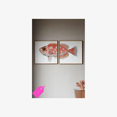 Rockett St George Oak Framed Spotted Orange Half Fish Head & Tail Art Prints - DISCONTINUED