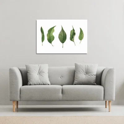 The Range Selection Of leaves Canvas Print - Green / 31cm / 41cm