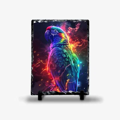 The Range Neon Parrot Photo Rock Slate - Slate
