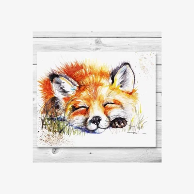 The Range Snoozing Fox Canvas - Brown / 51cm