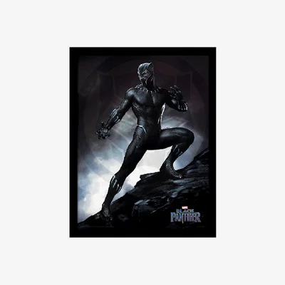The Range Black Panther (Stance) Framed Print