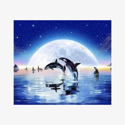 The Range Orca Whale Diamond Painting Kit - Multi