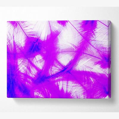 The Range Feathers Pink Canvas Print Wall Art - Yellow / 35.56cm