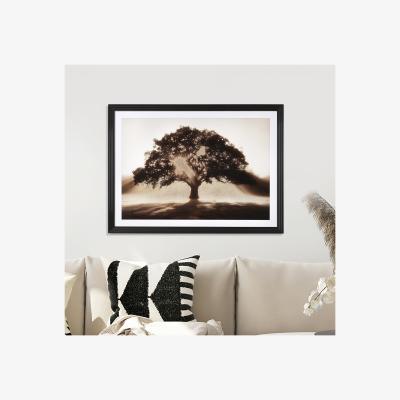 The Range Embellished Sunlit Tree Framed Art - Multicolour