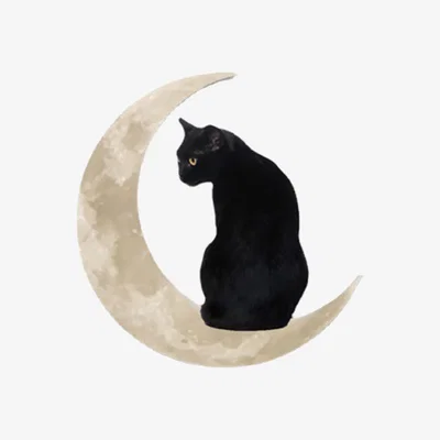 The Range Cat Sitting on Moon Wall Ornament - Black
